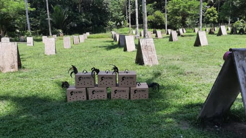 Video from CATBU Warriors's post