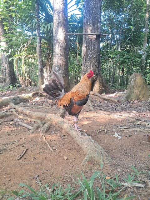 Photo from Jaihoo GF's post