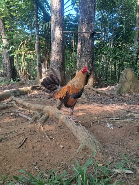Photo 2 of 8 from Jaihoo GF's post
