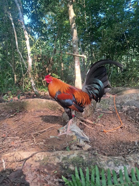 Photo 3 of 8 from Jaihoo GF's post