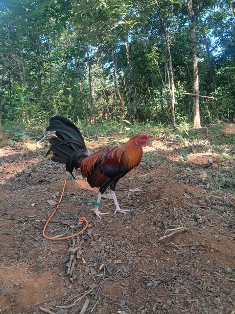 Photo 4 of 8 from Jaihoo GF's post