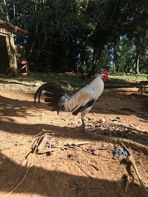 Photo 2 of 10 from Jaihoo GF's post