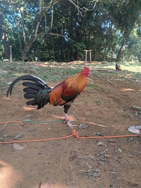 Photo 4 of 10 from Jaihoo GF's post