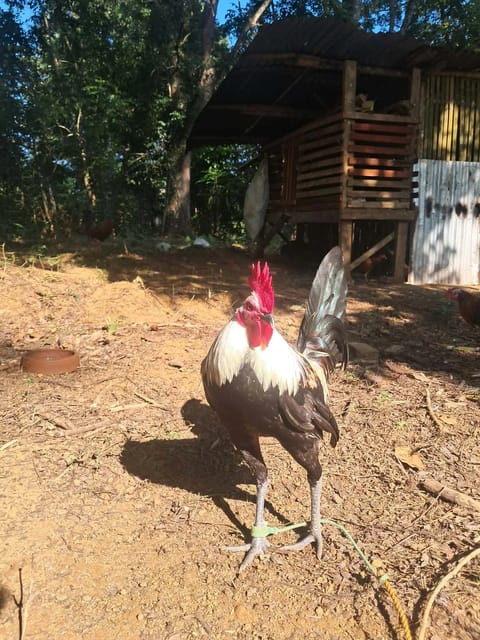 Photo from Jaihoo GF's post