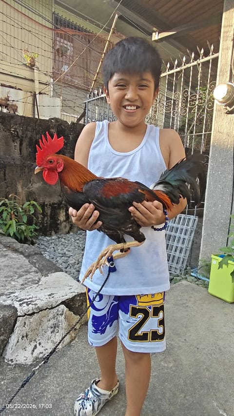 Video from MYC SON GAMEYARD's post