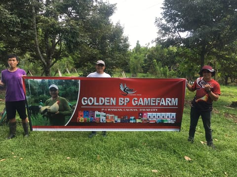 Photo from Golden BP Gamefarm's post