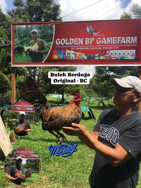Photo from Golden BP Gamefarm's post