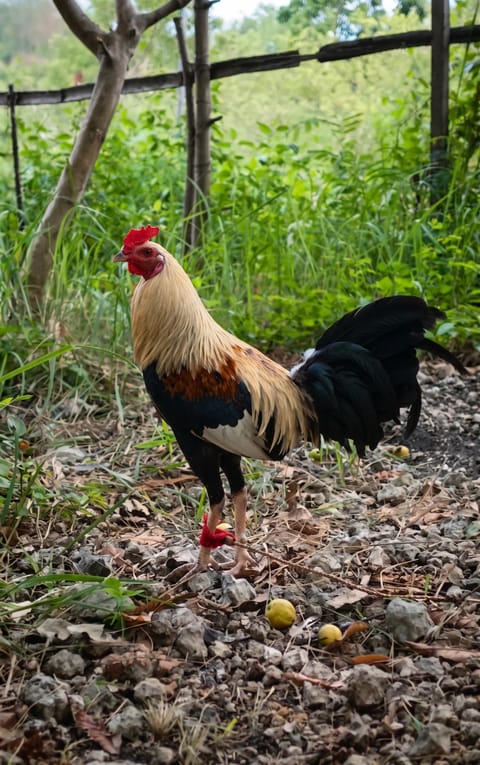 Photo from giovanni omega's post