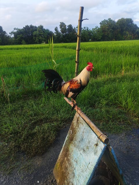 Photo from Jhon Robert Polca's post