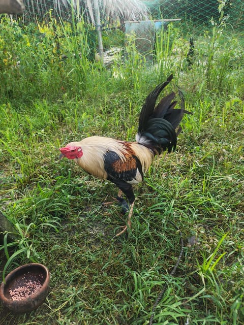 Photo 3 of 7 from Jhon Robert Polca's post