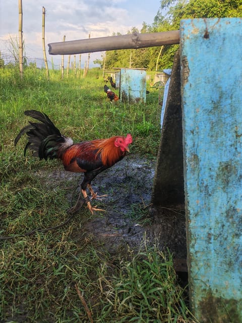 Photo 4 of 7 from Jhon Robert Polca's post