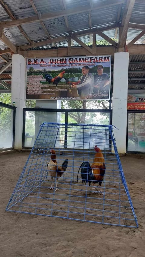 Photo from GAMATA CREEK GAMEFARM's post