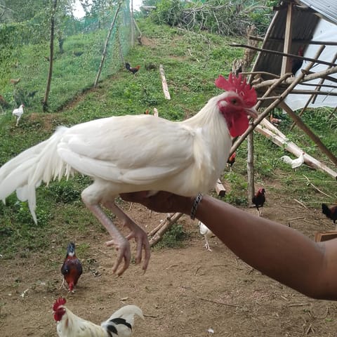 Photo 4 of 5 from Albert C Sabornido's post