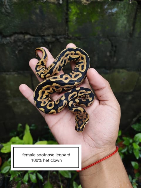 Photo from Nathaniel Pascual's post
