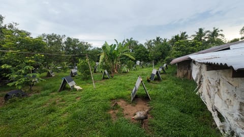 Photo from Renzo's post