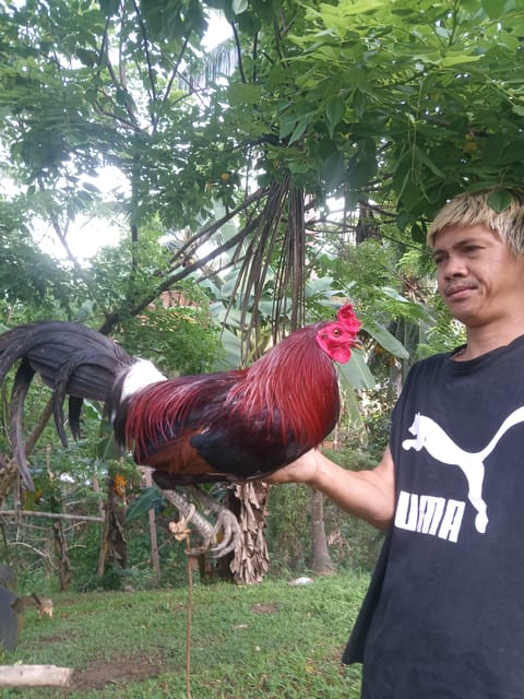 Photo from Ronald Bantolinao's post