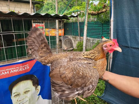 Photo 2 of 2 from Mark Evans Fernandez's post