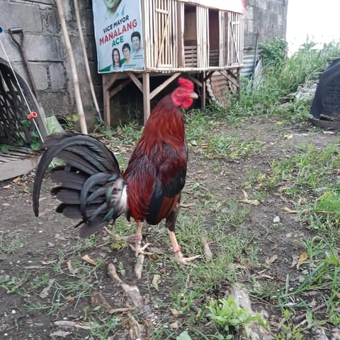 Photo 3 of 4 from Mark Evans Fernandez's post