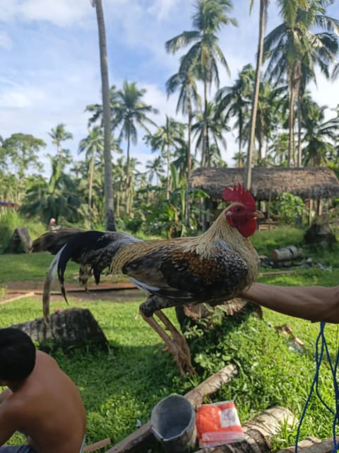 Photo from 3KPOWERMAX GF's post