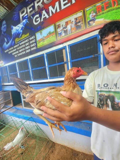 Photo 4 of 5 from Percydrake Gamefarm's post