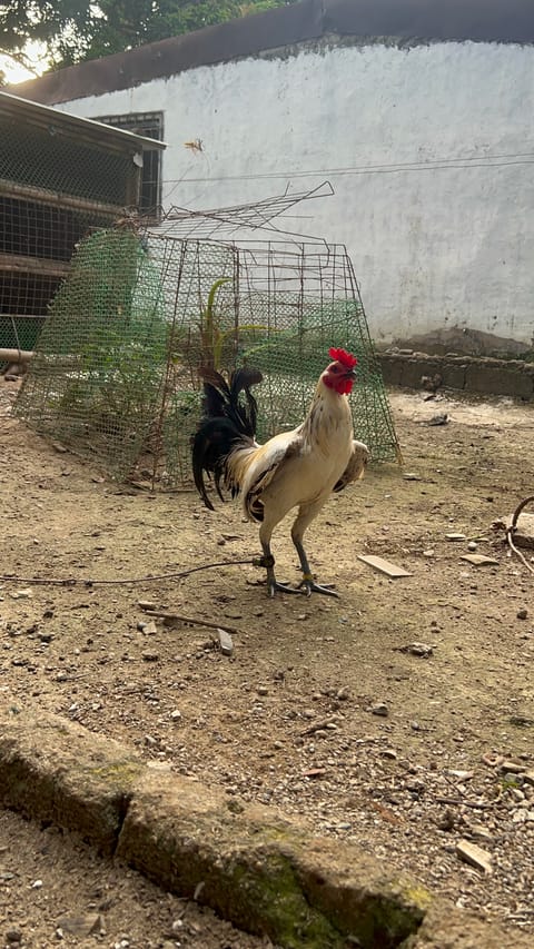 Photo from APH 212 Gamefarm's post