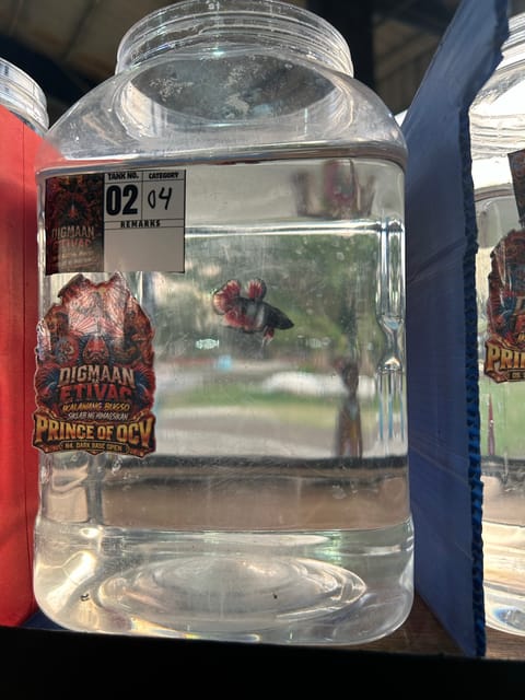 Video from Aurea pet store's post