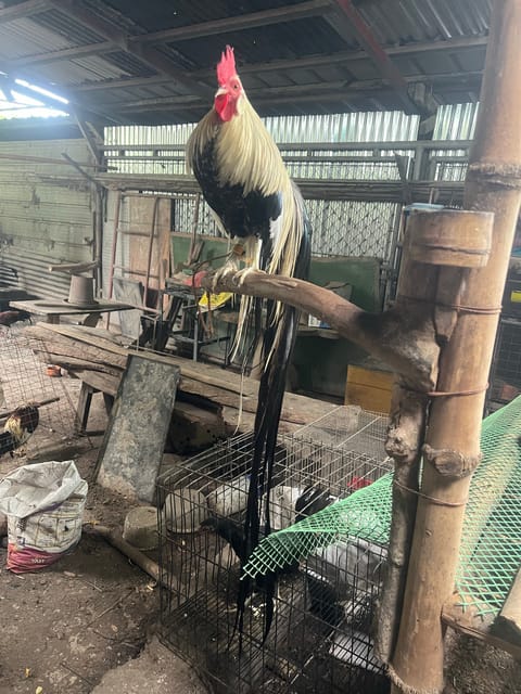 Video from Zar June Biador's post