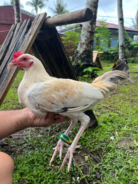 Photo from Junriel John Mejia's post