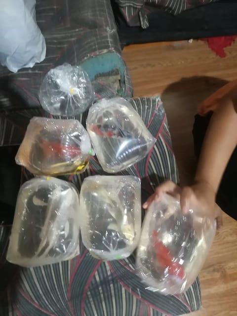 Photo from SK Aquatics's post