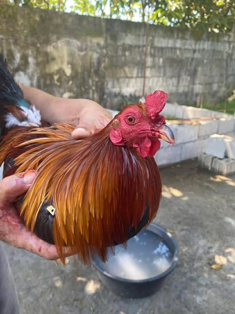 Photo from Centurion Gamefarm's post