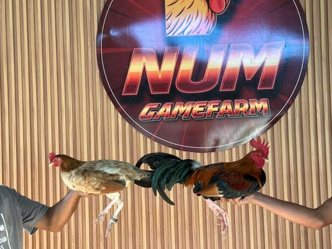 Photo from Centurion Gamefarm's post