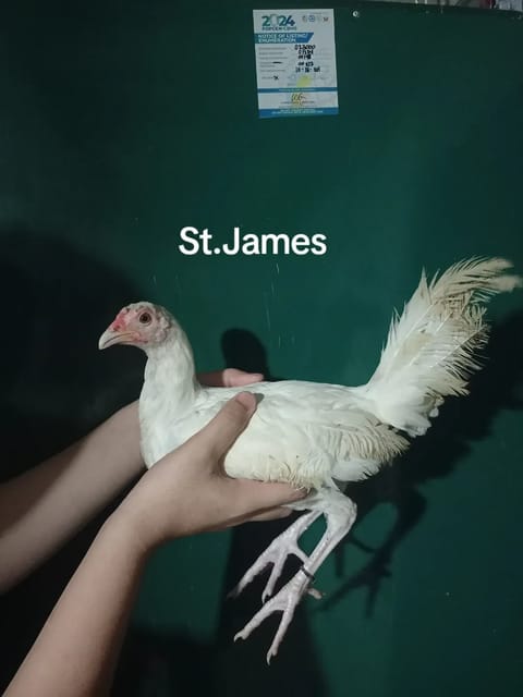 Photo from James Bonostro's post