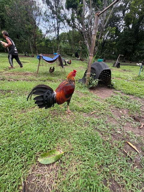 Photo 2 of 2 from Seth Trinidad's post