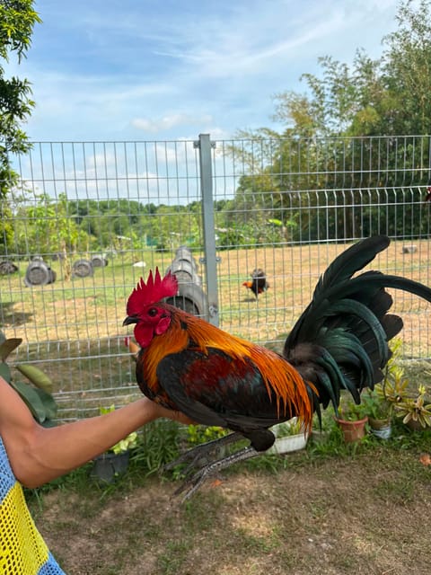 Photo 2 of 5 from Queensland Gamefarm's post