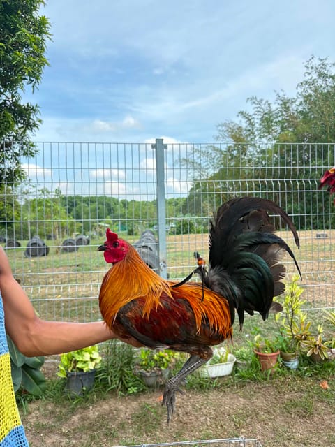 Photo 3 of 5 from Queensland Gamefarm's post