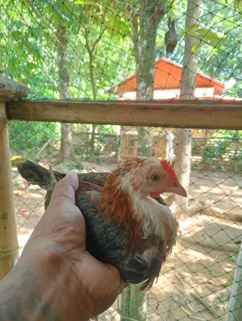Photo 2 of 6 from JJR LAROM (BJMORAL)'s post