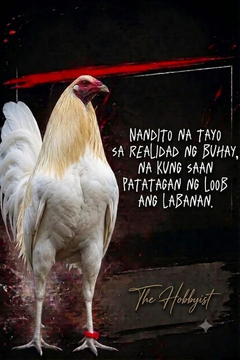 Photo from JJR LAROM (BJMORAL)'s post