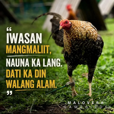 Photo from JJR LAROM (BJMORAL)'s post