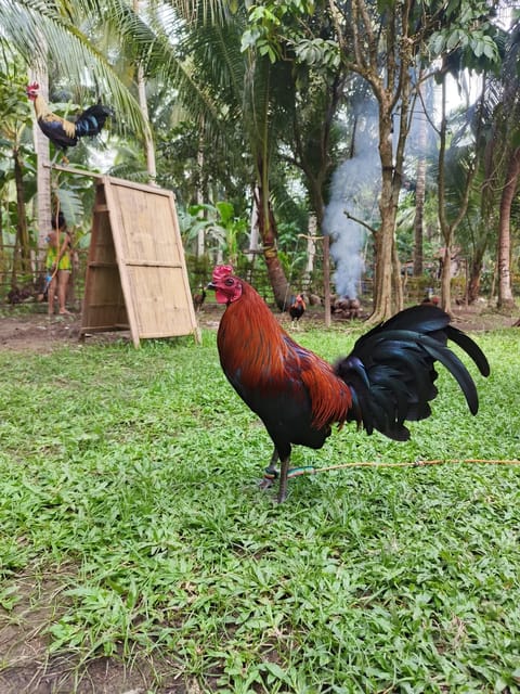 Photo from Franklin N. Maynucas's post