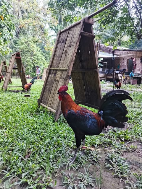 Photo from Franklin N. Maynucas's post