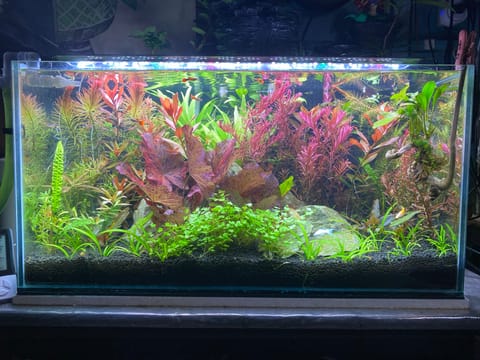 Photo from Ed Camoro's post