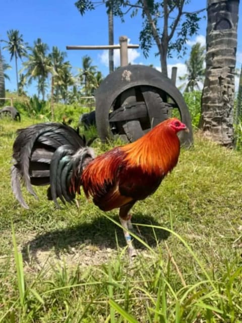 Photo from CV Gameyard's post