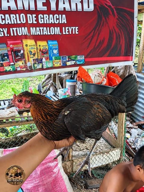 Photo from CDG gameyard's post