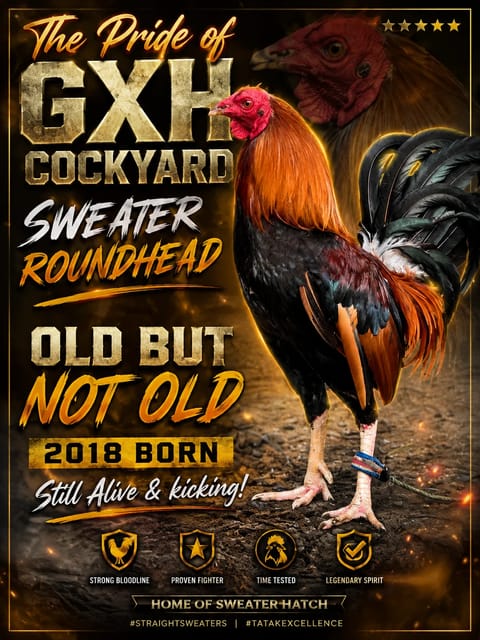 Photo from Richard P Abello (gxhcockyard)'s post