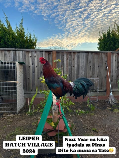 Photo 1 of 2 from Starcey GameFarm's post