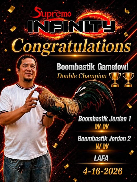 Photo from Boombastik Gamefowl's post