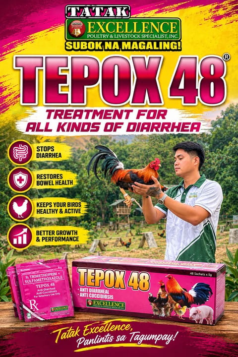 Photo from Jobert Montejo's post