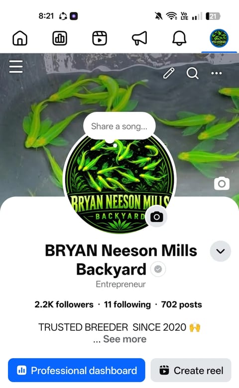 Photo from BRYAN NEESON MILLS BACKYARD's post