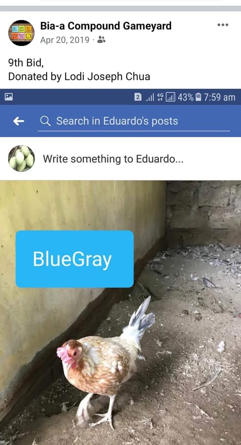 Photo 1 of 4 from Jowen M. Ramos's post