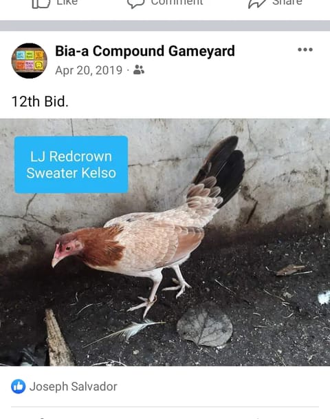Photo 3 of 4 from Jowen M. Ramos's post